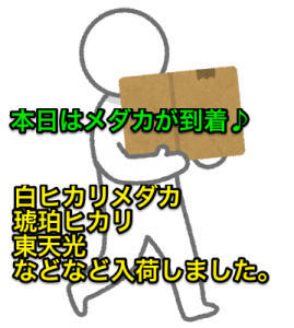 figure_box_carrying